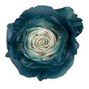 Natural Christmas Green