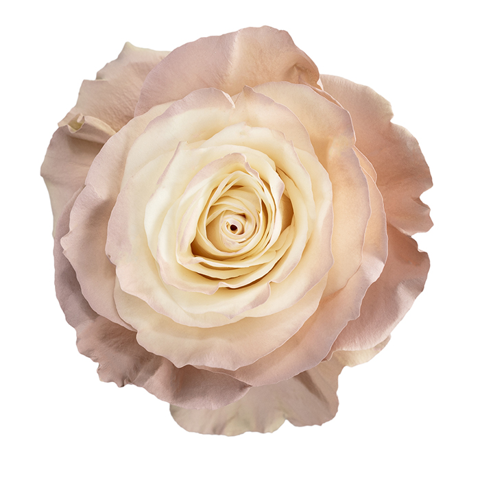 Natural Nude - Mystic Flowers