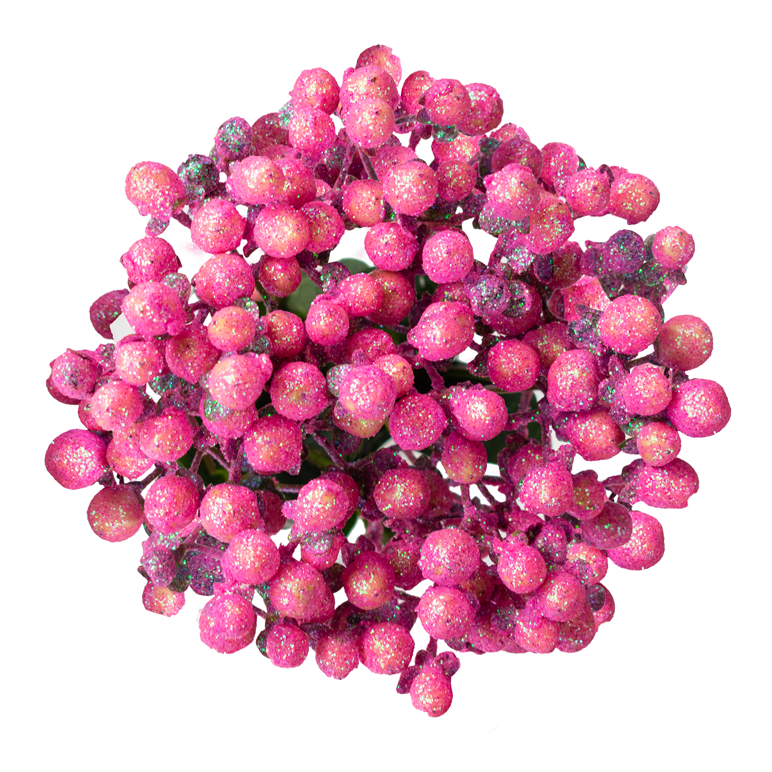 Hypericum Rosado