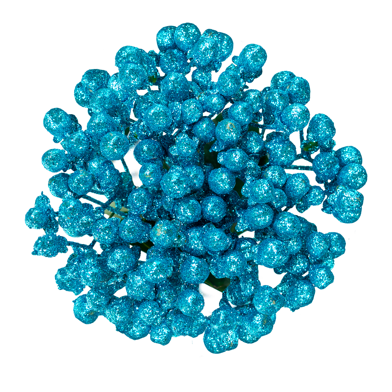 Hypericum Glitter Turquoise