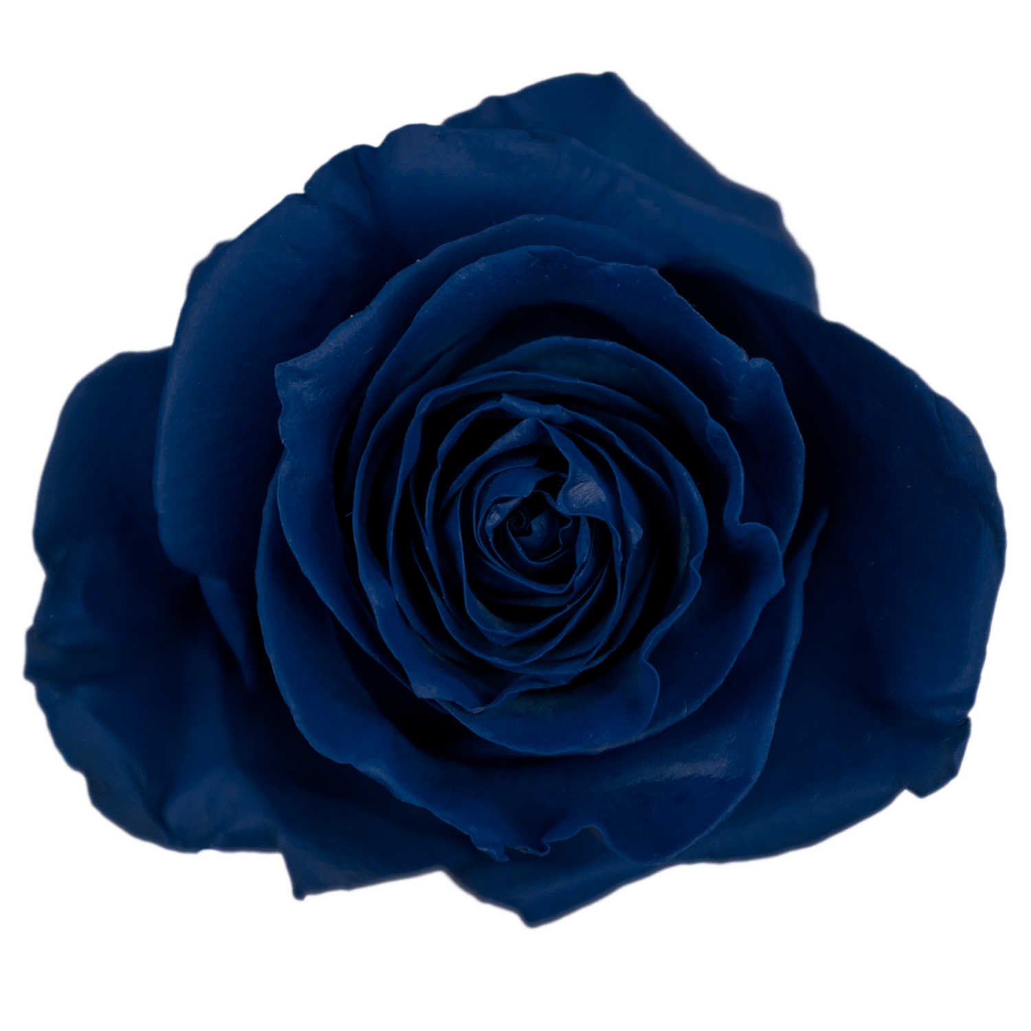 Galactic Blue